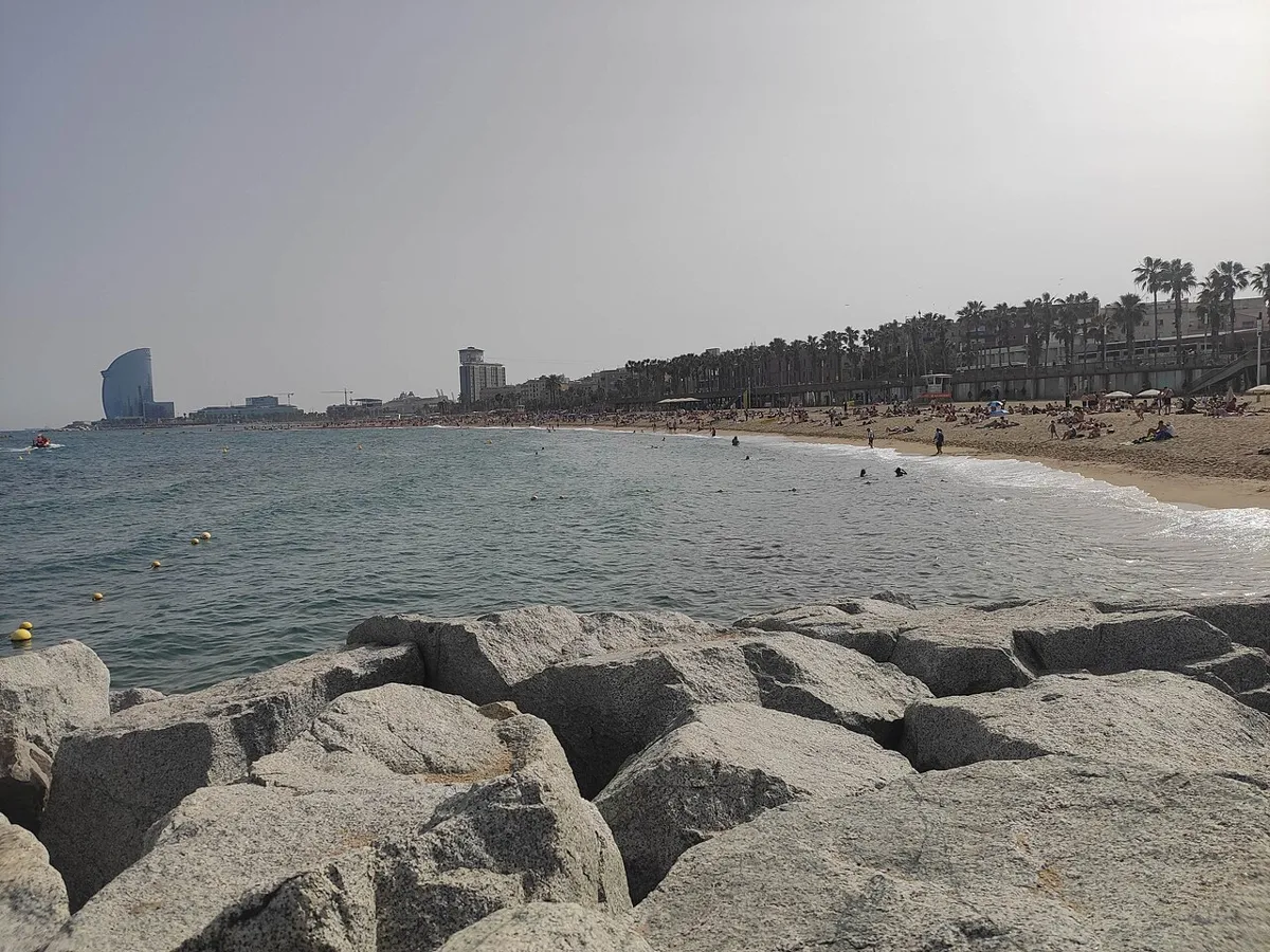 Barceloneta beach with swimmers, a palm-lined waterfront and large rocks in the foreground.